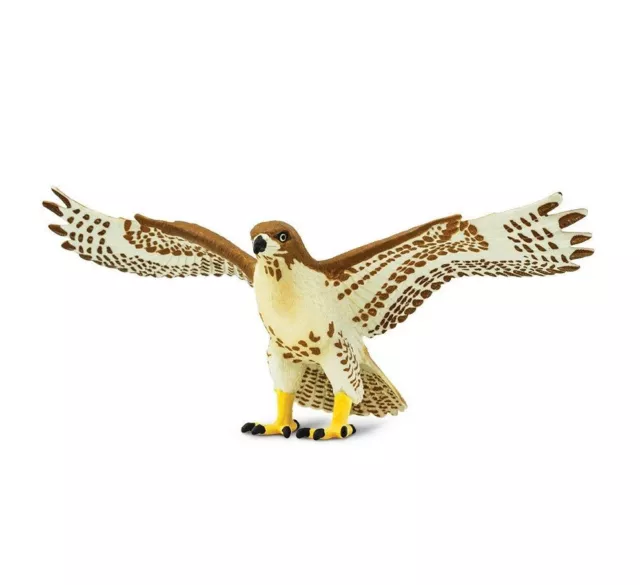 RED TAILED HAWK Bird Replica 151029 ~ NEW for 2017  FREE SHIP/USA w/ $25+ SAFARI