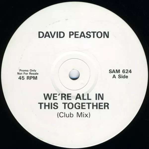 David Peaston - We're All In This Together (12", Promo)