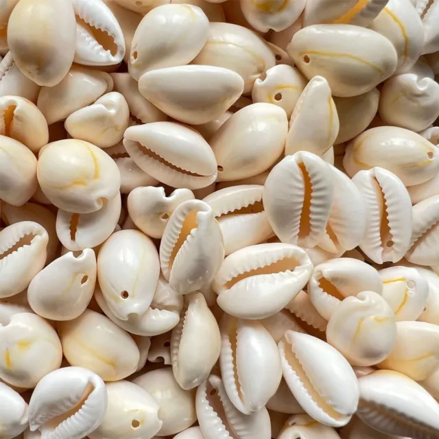 50x Lot Small Bulk Cut Sea Shell White Cowrie Cowry Beads Beach DIY Jewelry Gift