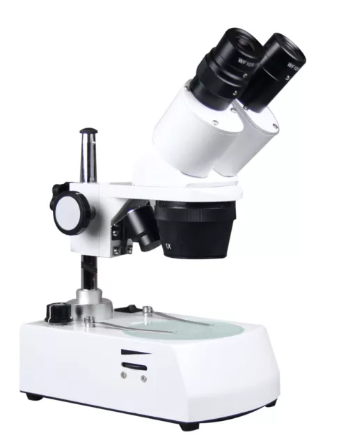 20-40x Binocular Stereo Microscope w Top Bottom Pole Type Dual Light Stand