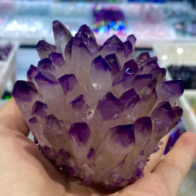 400g+ New Find Purple Phantom Quartz Crystal Cluster Mineral Specimen 2