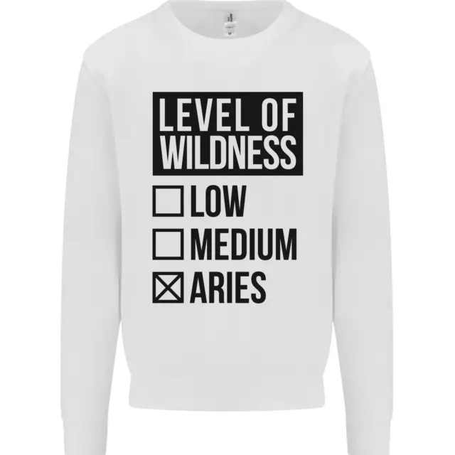 Levels of Wildness Aries Kids Sweatshirt Jumper