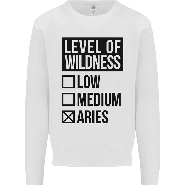 Levels of Wildness Aries Kids Sweatshirt Jumper