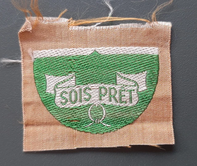 Insigne Scout Vintage – Provence Eclaireurs Unionistes (France)