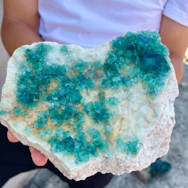 4lb NATURAL Green Cube FLUORITE Quartz Crystal Cluster Mineral Specimen