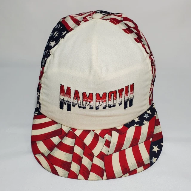 Vtg Mammoth Ski Colorado Leisure Sports American Flag Patriotic Strap Back Hat