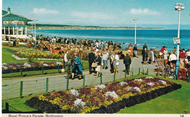 🌅 BRIDLINGTON.  Royal Prince's Parade. 🏆connoisseur postcard. (#brid)