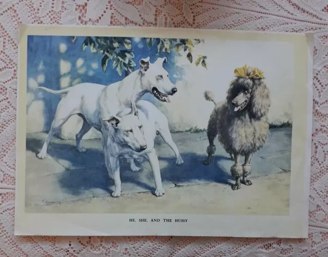 Bull Terrier Pair With Poodle Dog Print By Ambler