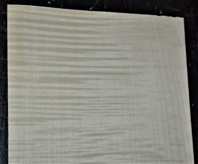 Curly Maple Raw Wood Veneer Sheet 8.5 x 21 inches 1/42nd                 4665-91