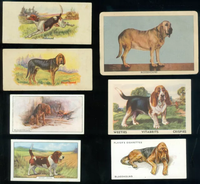7 Dog Cards - Hounds, Lot Two