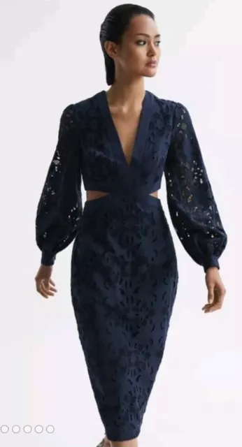 Bnwt Reiss Navy Lace Cut Out Midi Cotton Dress Uk Size 8