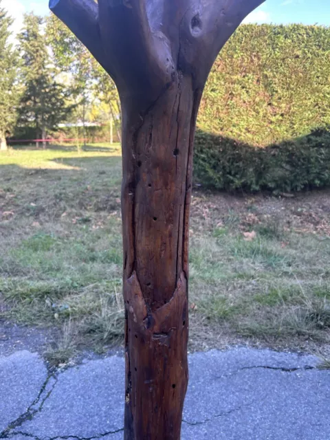 Porte Manteau Art Populaire Ancien Bois Arbre Perroquet Patère Bergerie Campagne 3