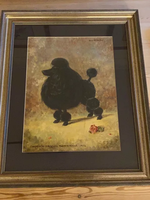 Antique Poodle Dog Oil Painting Signed 1956 Named Dog "Ch Braeval Boomerang"