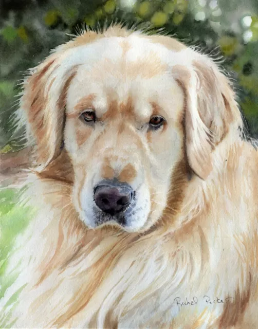 Giclee PRINT Golden Retriever Dog Watercolor Painting Art Pet Portrait