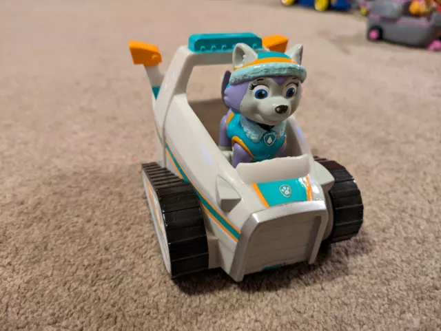 Everest vehicle and sales figure