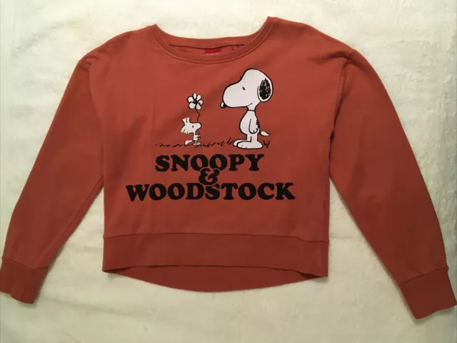 Woodstock jumper on sale