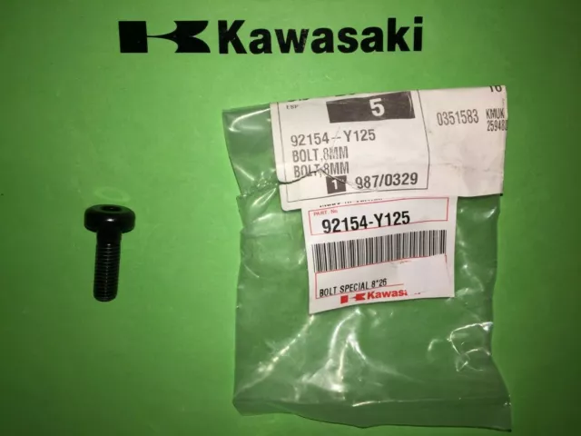 Kawasaki J125 J300 Roller Bolzen Spezial M8 x 26 Original 92154-Y125