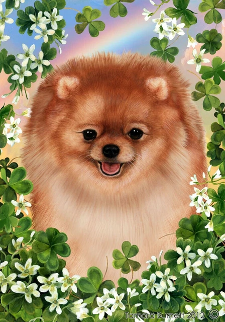 Clover Garden Flag - Orange Pomeranian 313311