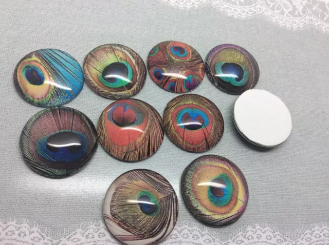 10 Peacock Feather Cabochons 16-25mm Mixed Round Glass Picture Dome Flat Back 3