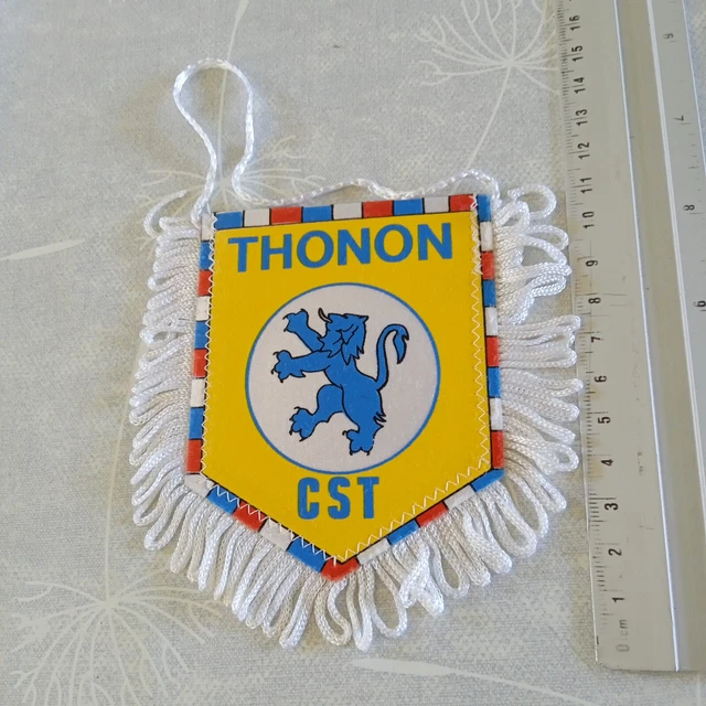 Fanion Vintage Lyon Vs OM - Finale Coupe De France 1976 - 27x22 Cm