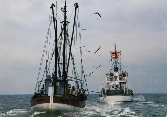 122-Ansichtskarte Seenotkreuzer Eiswette mit Tochterboot Fritz Behrens Nordsee