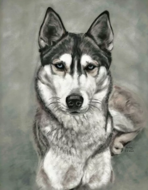 Large Siberian Husky Art Dog Wall Art By Tracey Earl A3 (16.5"×11.7") UNFRAMED