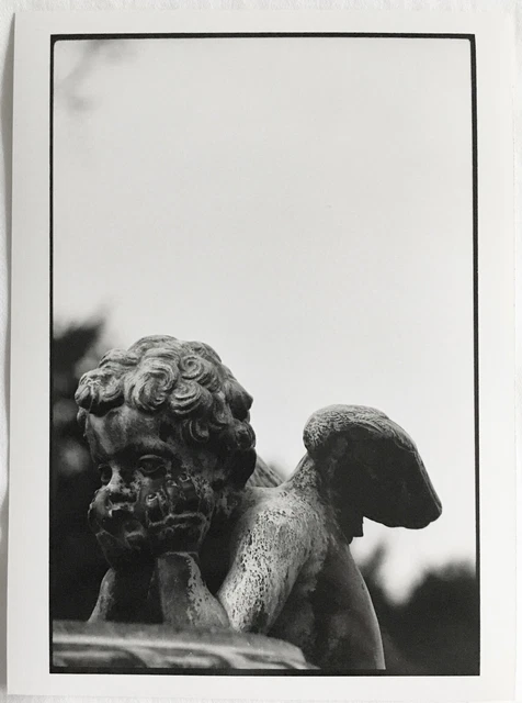 Versailles, détail vase sculpté Photographie originale noir blanc Loeber-Bottero