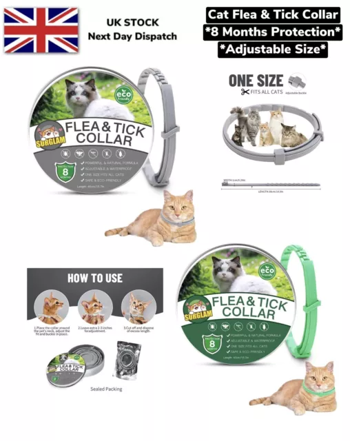 Katzenfloh- und Zeckenhalsband, Flohbehandlung für Katzenkätzchen 8 Monate Schutz UK