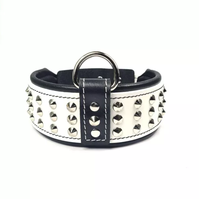 STG collier de chien clouté en cuir véritable pour grand chien Pit Bull lot...