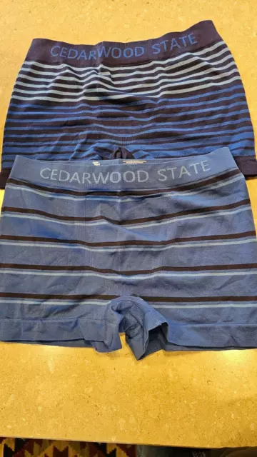 CEDARWOOD STATE MENS Seamless Nylon Boxers Pants Briefs Textured Grey Nwot S 1.79 PicClick UK