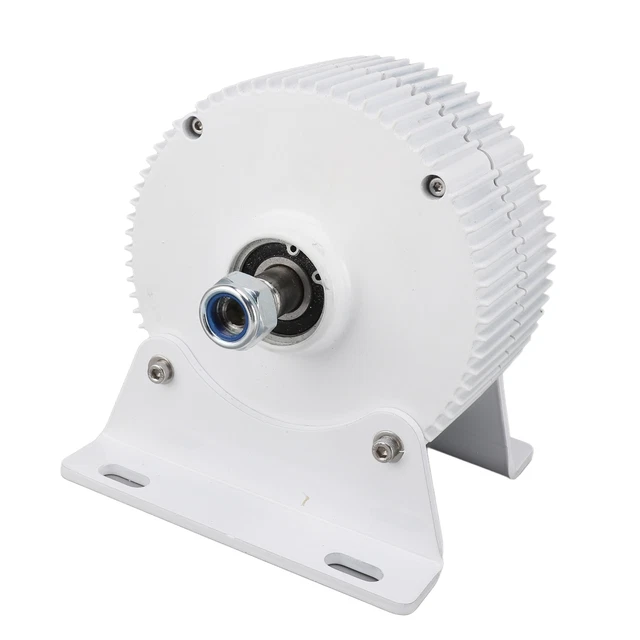 300 W) Generatore di magneti permanenti generatore sincrono 3 fasi doppio albero