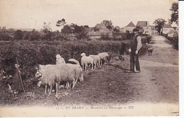 Serie En Bearn .... 13 ... Moutons Au Paturage ... Rare