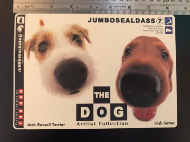 THE DOG Jack Russell Terrier Irish Sette  Artlist collection Jumbo Sticker 8inch