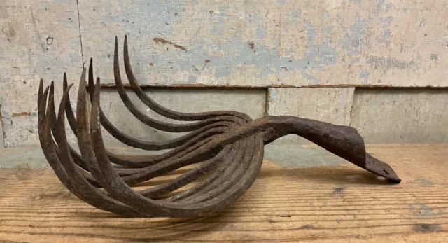 Antique Hand Forged Quahog Clam Rake Eagle Claw Wrought Iron Primitive Decor (A)
