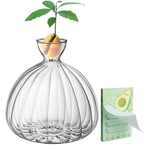 Avocado Seed Starter Vase,Thickened Striped Avocado Seed Sprout Glass Container
