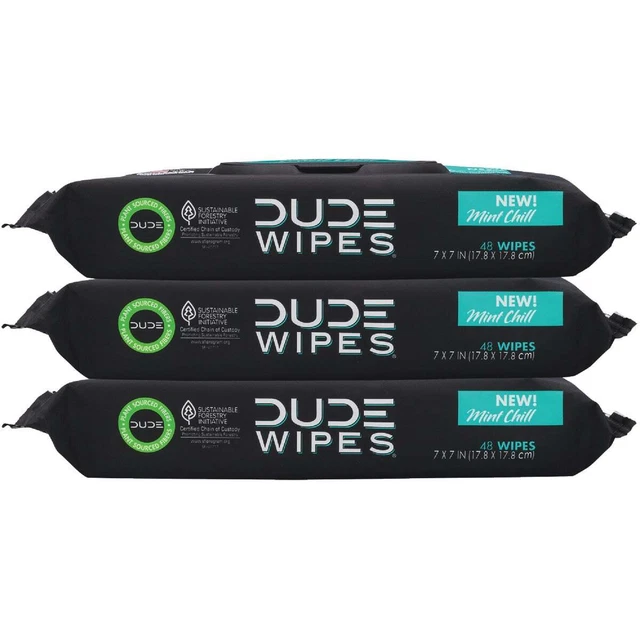 Dude Wipes Mint Chill Flushable Wipes (3-Pack) DW-CE-M-3 Dude Wipes DW-CE-M-3