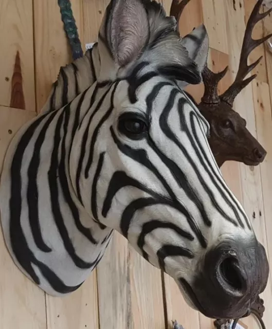 Zebra Head African Wild Animal Wall Black and White Hanging 3D Art