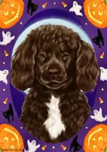 Halloween Garden Flag - Brown and White Portuguese Water Dog 129141