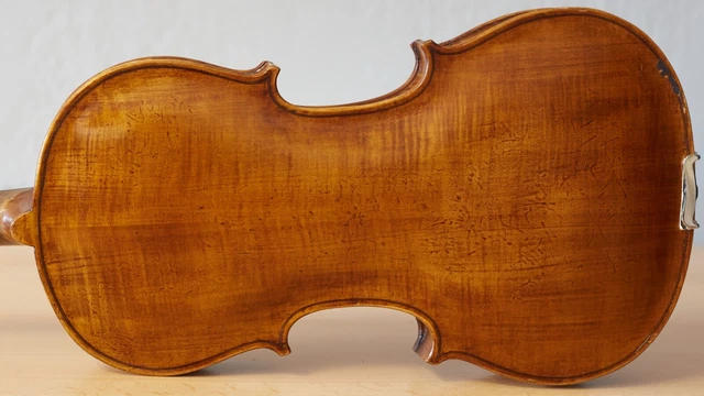 old violin 4/4 geige viola cello fiddle label DAVID TECCHLER Nr. 1443