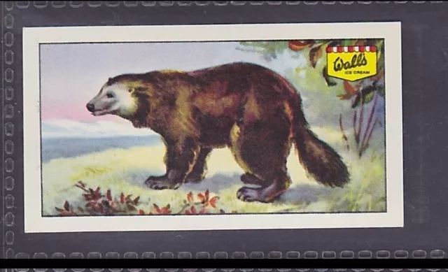 WOLVERINE - 50 + year old English Trade Card # 2