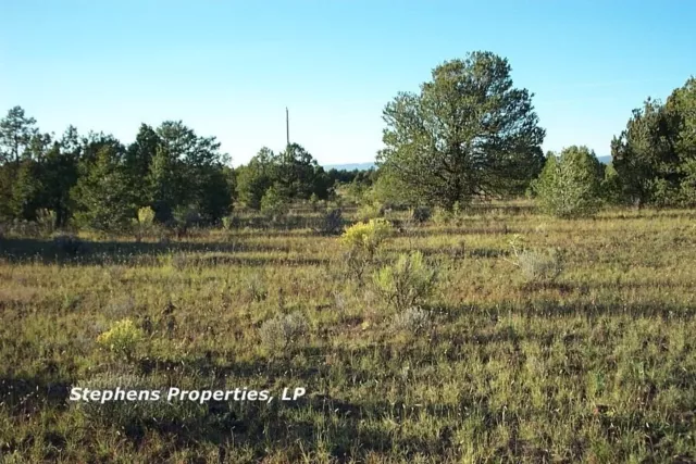 10 Acre Property - Gorgeous Mountain Get Away In New Mexico - 0% Terms