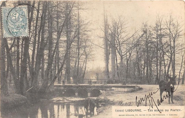 CPA 33 LIBOURNE LES BORDS DU PINTEY (dos non divisé)