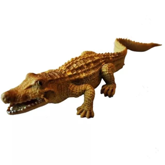 Geocaching' geocache Cache " Insect " -crocodile Crocodile Forest Special