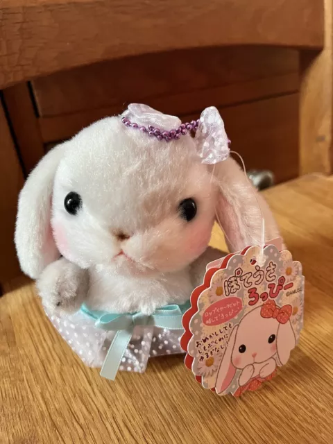 Amuse loppy hot sale