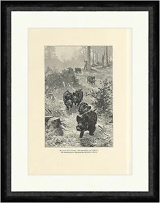 Aus dem Trieb heraus J. Massei Wildschweine Tiere Wald Jäger  Faksimile_A 1830