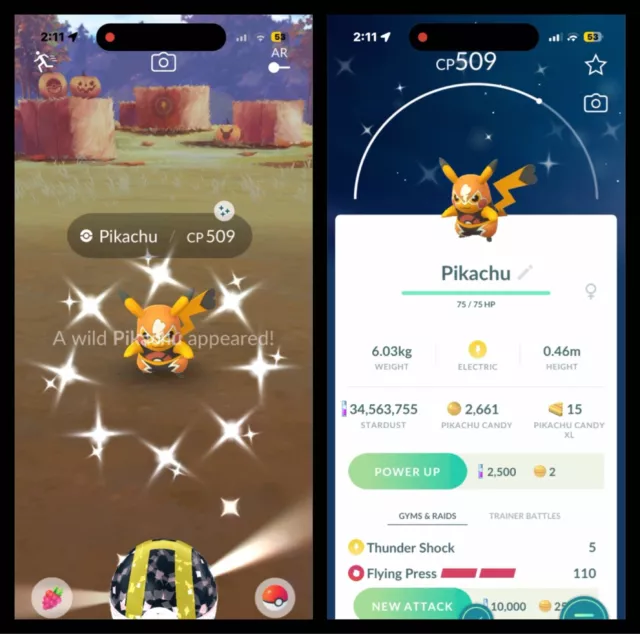 Stardust ✨ Pokémon GO ✪ on X: Level 43 Account for sale 🔥 1.2 Million ST  60M XP 🔥 Lucky Shiny Pikachu Libre (rarest of the rarest) 🔥 16700  Pokécoins, more than