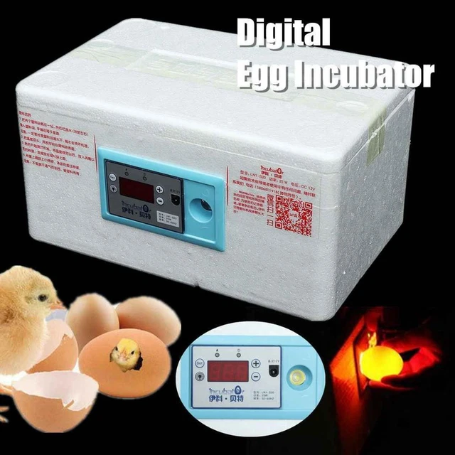 Brooder Tools CONTROL CHICKEN POULTRY Hatcher Brooder Farm Incubation Tools Egg ...
