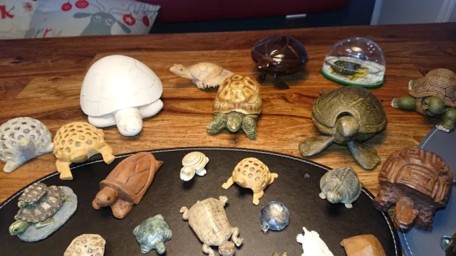 Schildkröten Sammlung 70 Stück