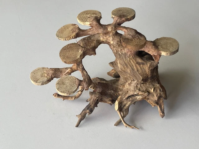 Bonsai Driftwood Moss Tree Aquarium Freshwater Planted Tank Fish Shrimp - 860