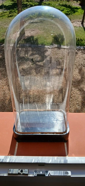 Grande cloche ovale en verre soufflé - 20 x 40 cm (X2